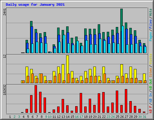 Daily usage for January 2021