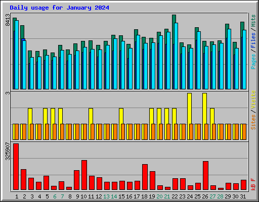 Daily usage for January 2024