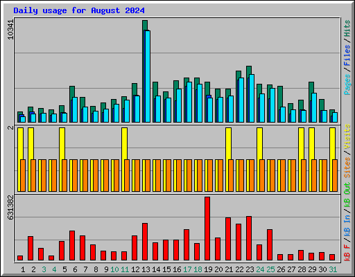 Daily usage for August 2024