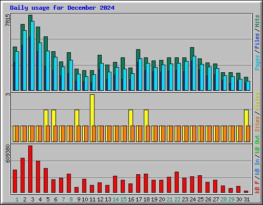 Daily usage for December 2024