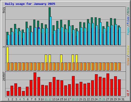 Daily usage for January 2025