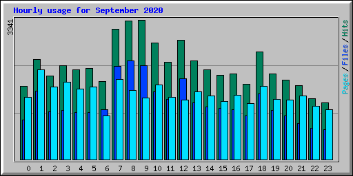 Hourly usage for September 2020