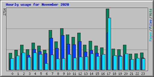 Hourly usage for November 2020