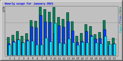 Hourly usage for January 2021