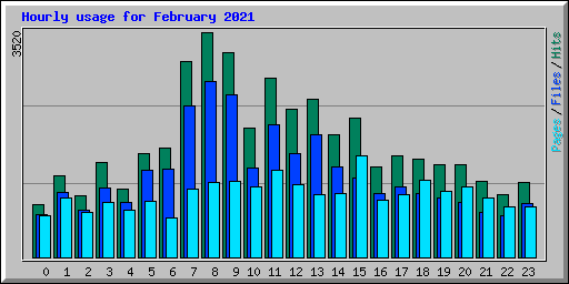 Hourly usage for February 2021