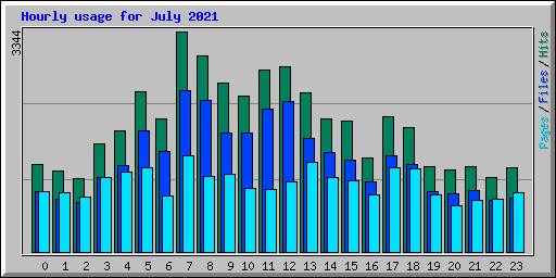 Hourly usage for July 2021