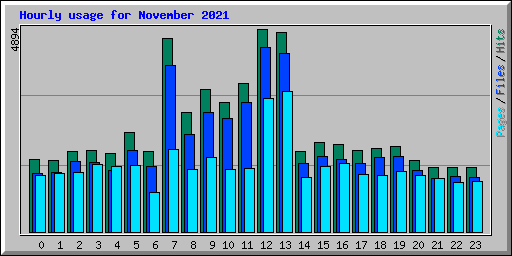 Hourly usage for November 2021