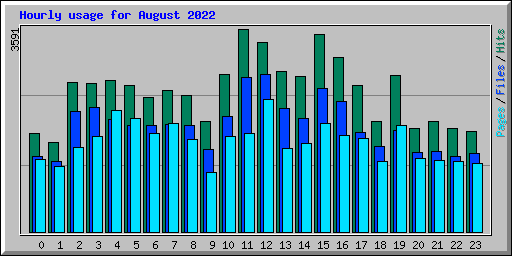 Hourly usage for August 2022
