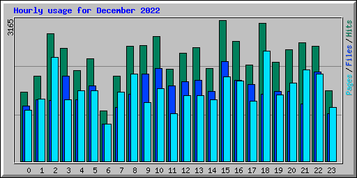 Hourly usage for December 2022
