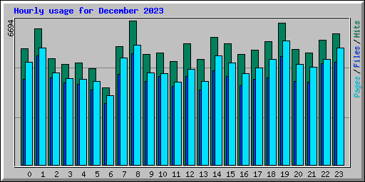 Hourly usage for December 2023