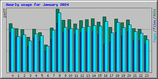 Hourly usage for January 2024