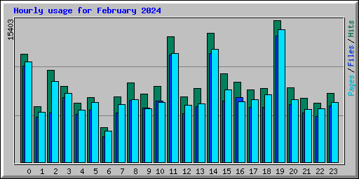 Hourly usage for February 2024