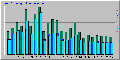 Hourly usage for June 2024