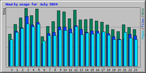 Hourly usage for July 2024