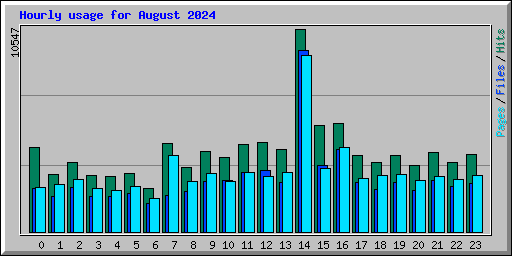 Hourly usage for August 2024