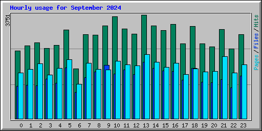 Hourly usage for September 2024