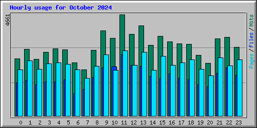 Hourly usage for October 2024