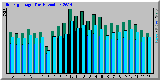 Hourly usage for November 2024