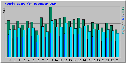 Hourly usage for December 2024