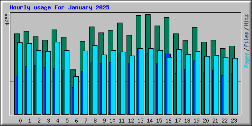 Hourly usage for January 2025