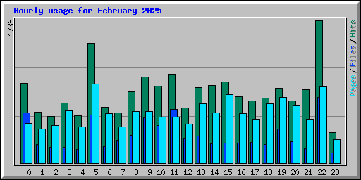 Hourly usage for February 2025